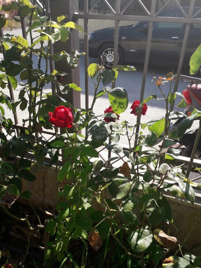 Roses Skala Kallirachis Exterior foto