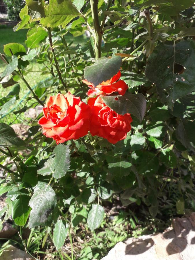 Roses Skala Kallirachis Exterior foto